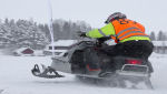 Burkarcupen 2019