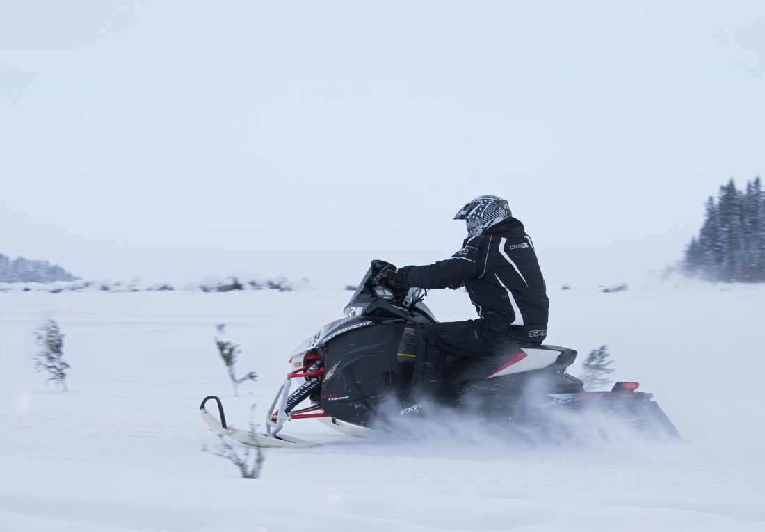 Burkarcupen 2019