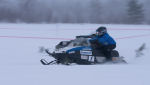 Burkarcupen 2019
