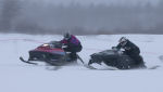 Burkarcupen 2019