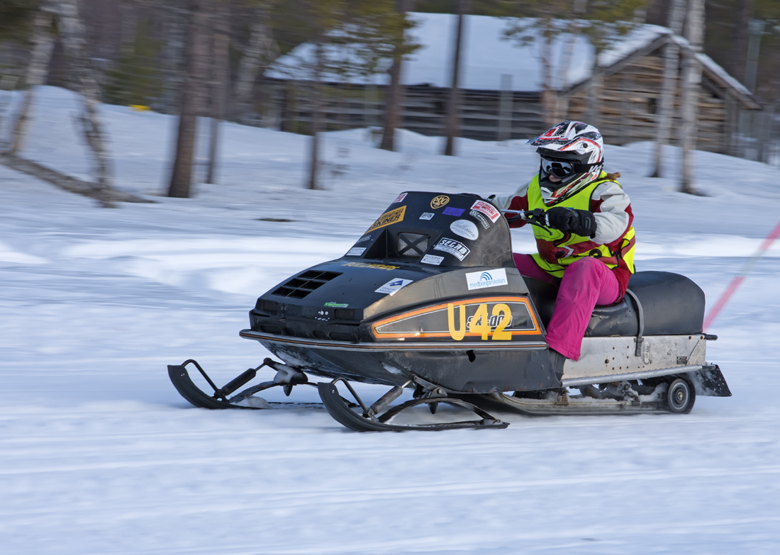 Burkarcupen 2019