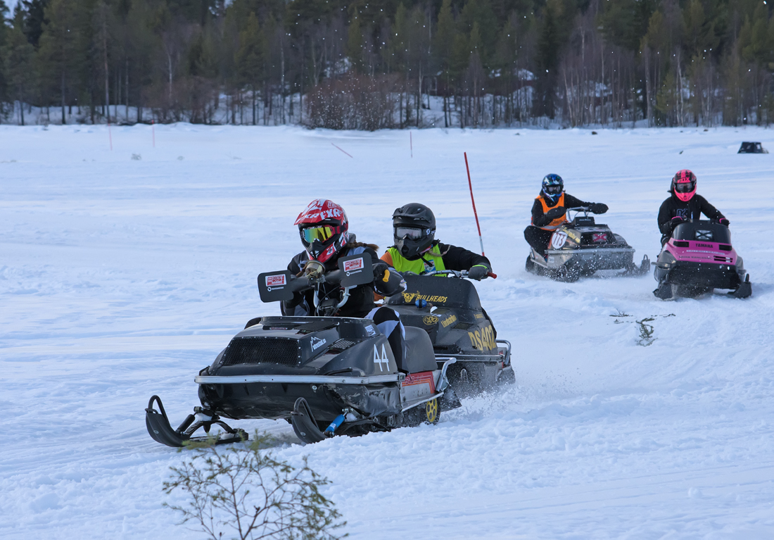 Burkarcupen 2019