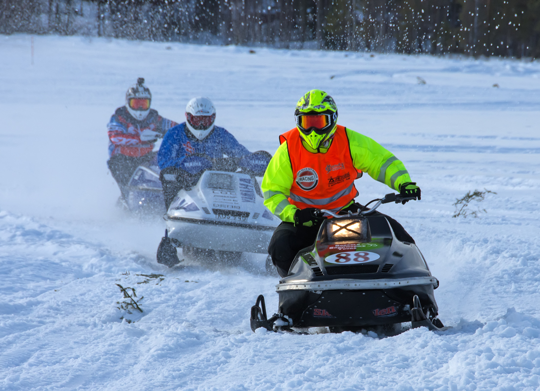 Burkarcupen 2019