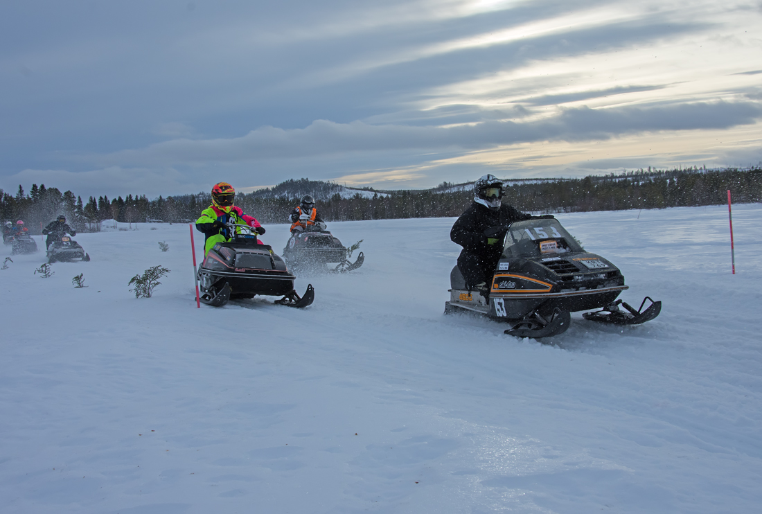 Burkarcupen 2019